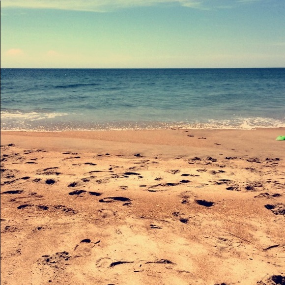 Meet your Posher, Lexis - Picture 1 of 1